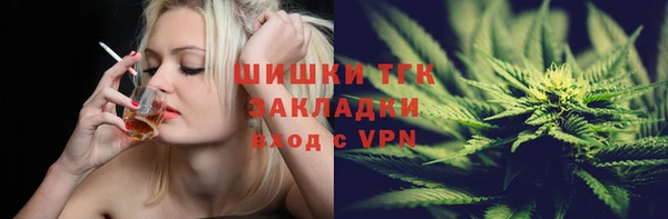 эйфоретик Вяземский