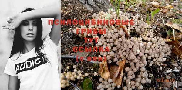 хмурый Вязники