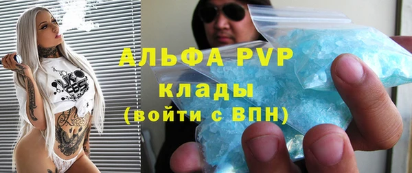 эйфоретик Вяземский