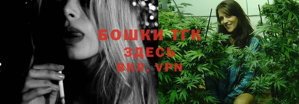 эйфоретик Вяземский