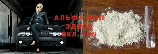 эйфоретик Вяземский