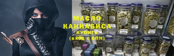 эйфоретик Вяземский