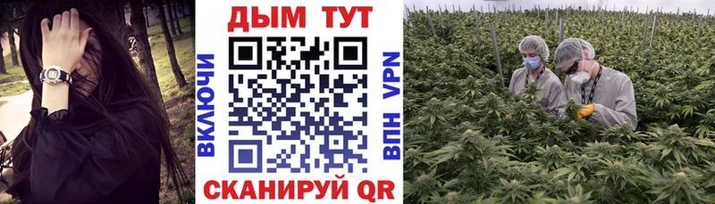 Каннабис индика  Купить закладки  Тейково 
